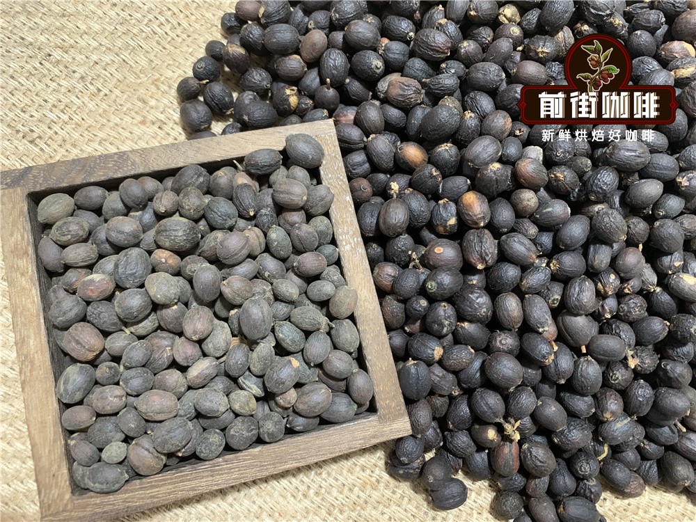云南小粒咖啡豆风味解析:从铁皮卡到卡蒂姆的品种与产区全览 云南小粒咖啡豆风味解析:从铁皮卡到卡蒂姆的品种与产区全览