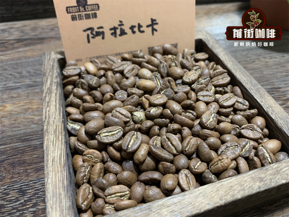 阿拉比卡咖啡豆全解析：从品种起源到铁皮卡波旁卡杜拉卡杜艾的风味特征