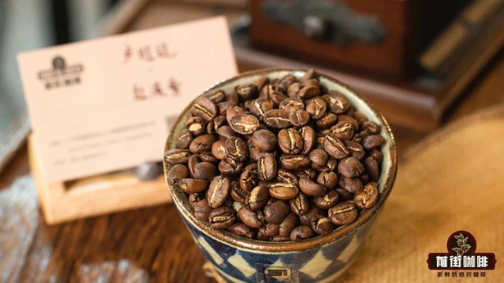 阿拉比卡精品咖啡豆入门选购指南:产地风味、烘焙程度与新鲜度全解析 阿拉比卡精品咖啡豆入门选购指南:产地风味、烘焙程度与新鲜度全解析