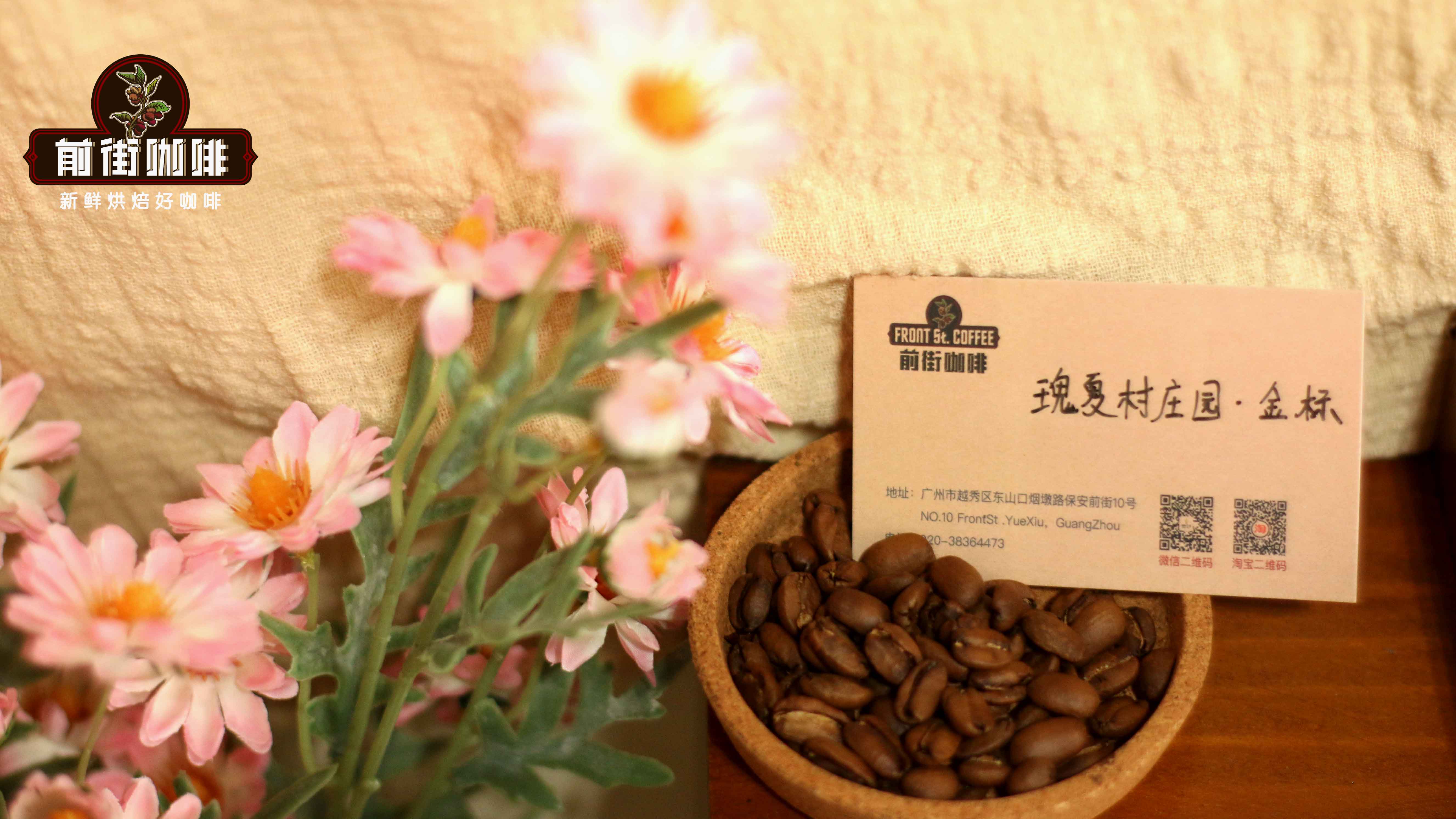 瑰夏与艺妓咖啡是同一种吗?巴拿马瑰夏价格高昂的原因及实惠选购建议 瑰夏与艺妓咖啡是同一种吗?巴拿马瑰夏价格高昂的原因及实惠选购建议