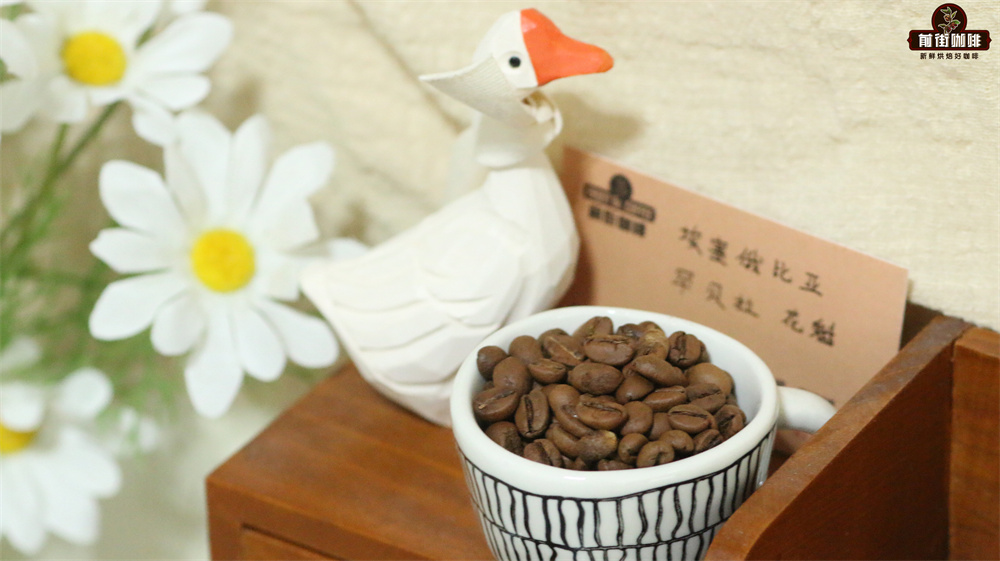 挂耳咖啡冰饮全攻略:冰手冲与冷萃制作步骤及前街豆款推荐 挂耳咖啡冰饮全攻略:冰手冲与冷萃制作步骤及前街豆款推荐