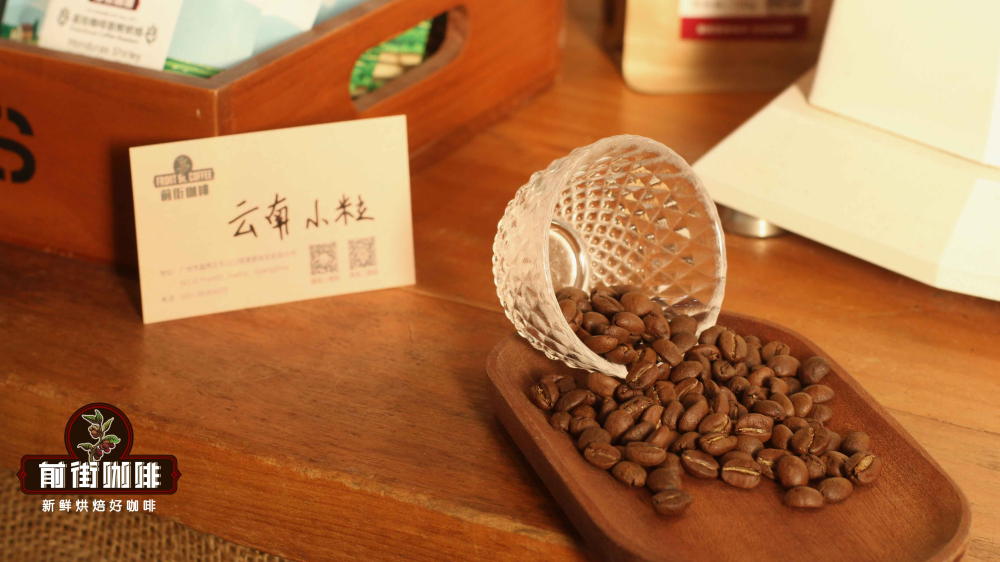 云南咖啡品牌推荐指南:小粒咖啡产地风味与品种处理法全解析 云南咖啡品牌推荐指南:小粒咖啡产地风味与品种处理法全解析