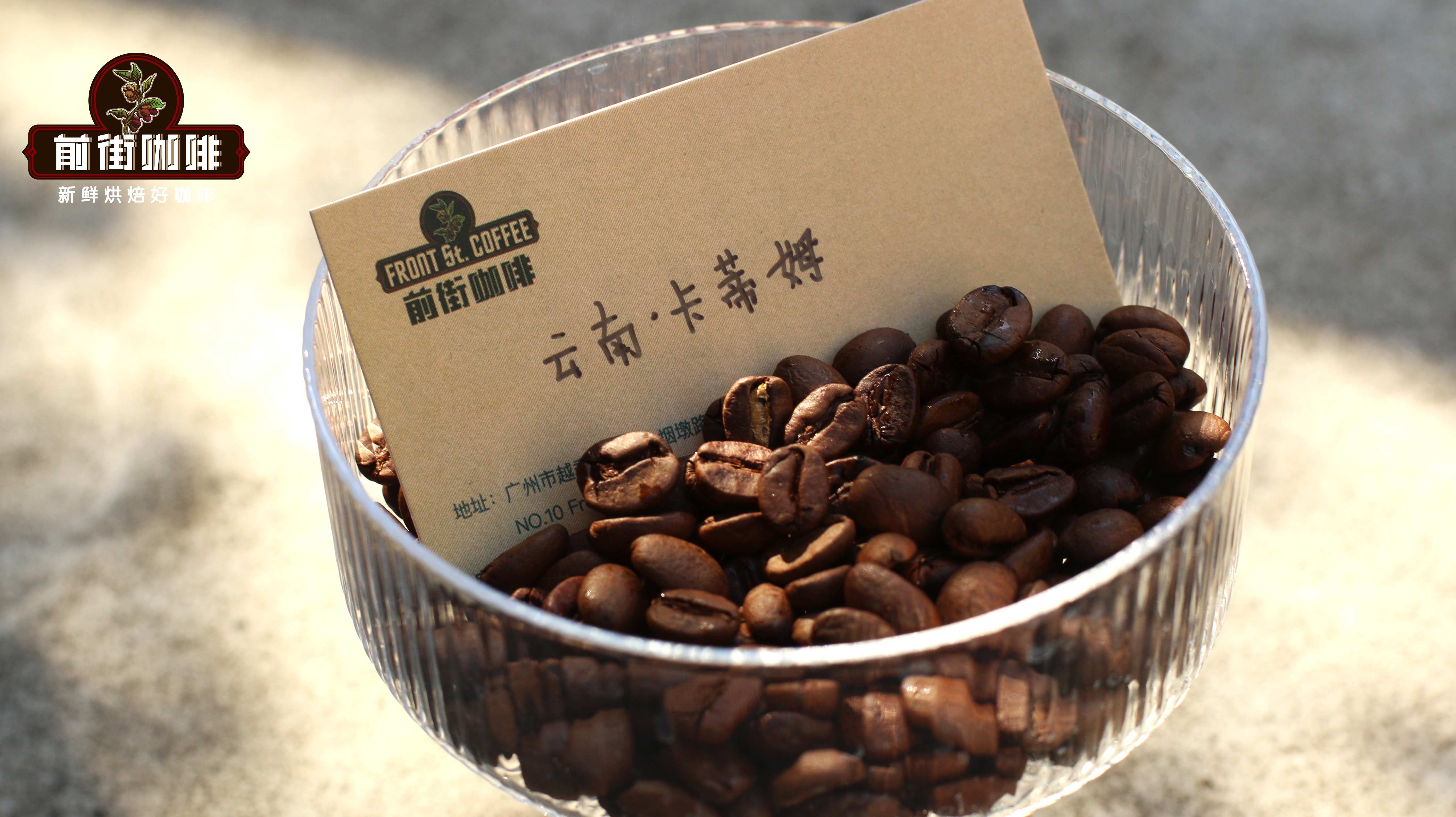 云南小粒咖啡品种解析：铁皮卡与卡蒂姆的风味差异及种植现状