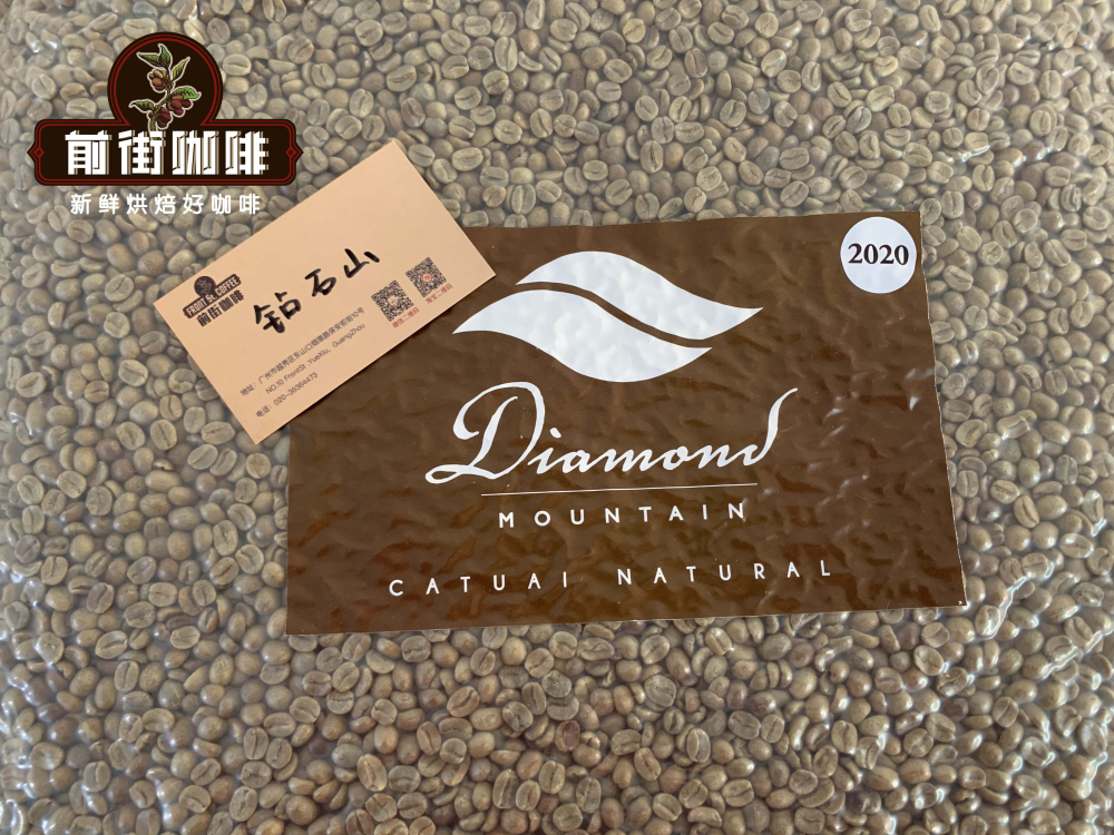 翡翠庄园钻石山咖啡品种解析:卡杜拉与卡杜艾的日晒水洗风味对比 翡翠庄园钻石山咖啡品种解析:卡杜拉与卡杜艾的日晒水洗风味对比