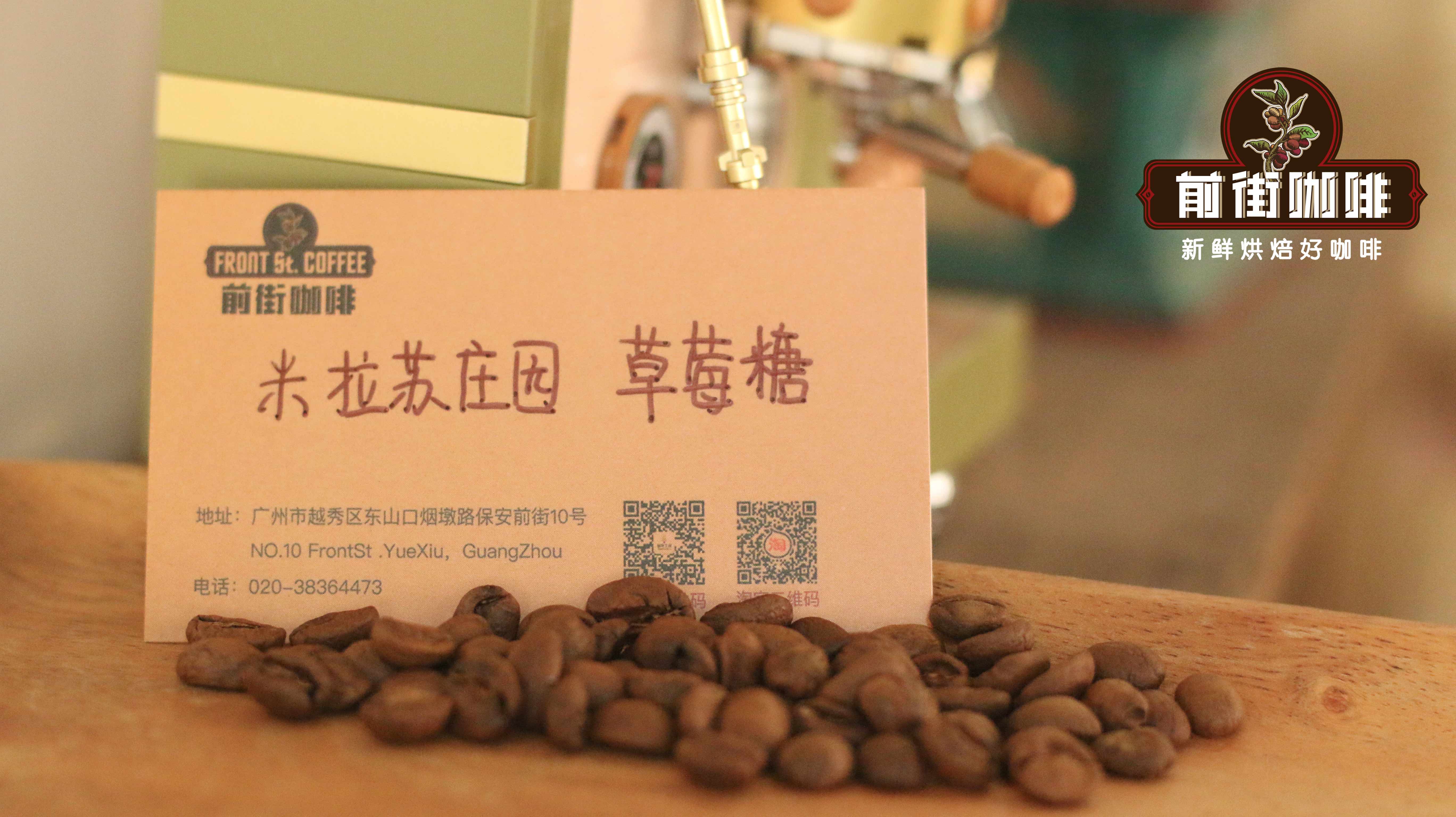 法压壶冲煮指南:不同烘焙度咖啡豆的粉水比设定与完整操作流程 法压壶冲煮指南:不同烘焙度咖啡豆的粉水比设定与完整操作流程