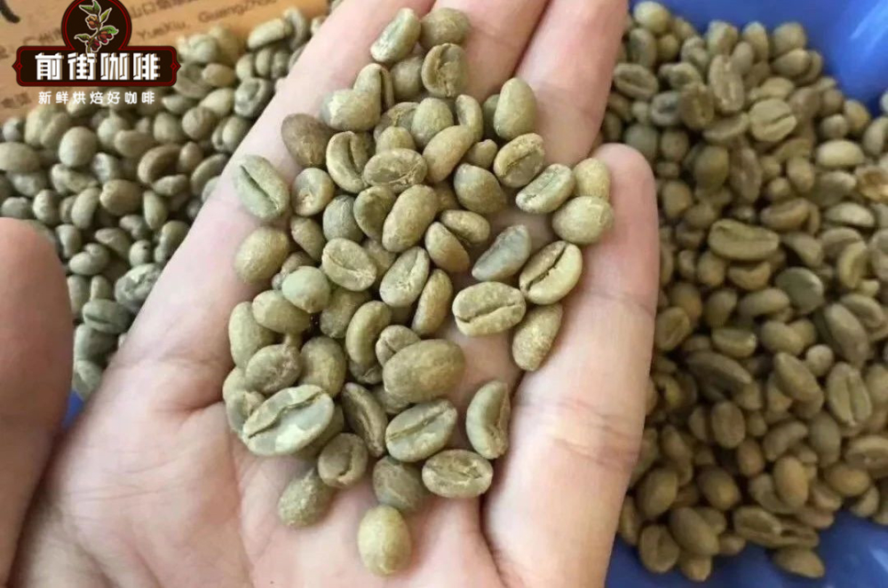 耶加雪菲咖啡豆G1与G2等级含义详解:从原生种到分级标准全解析 耶加雪菲咖啡豆G1与G2等级含义详解:从原生种到分级标准全解析