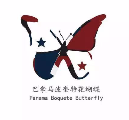 巴拿马咖啡的高性价比之选:花蝴蝶瑰夏混种豆风味与产区解析 巴拿马咖啡的高性价比之选:花蝴蝶瑰夏混种豆风味与产区解析