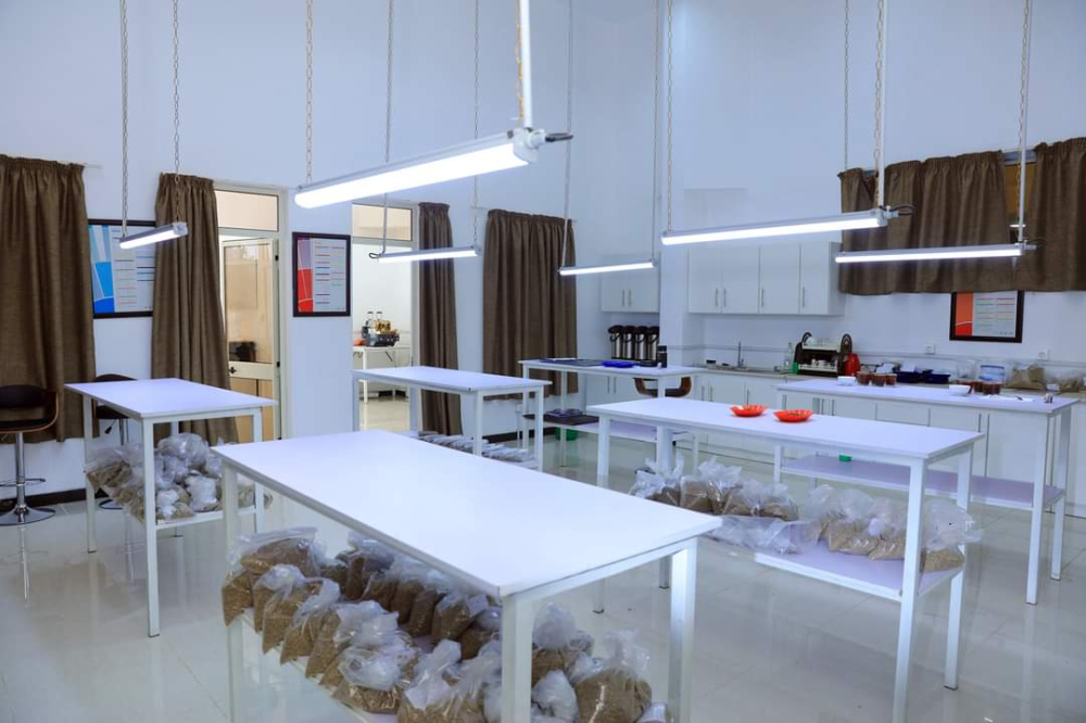 埃塞俄比亚西达摩与古吉产区水洗G2咖啡的风味香气及口感全解析 埃塞俄比亚西达摩与古吉产区水洗G2咖啡的风味香气及口感全解析