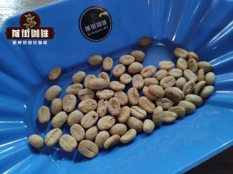 做一杯好喝的拿铁，咖啡豆怎么跟全脂奶和燕麦奶搭才够香？
