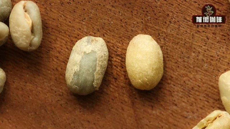 阳光斜切料理台，叉子悬于蛋糕上方，咖啡豆罐在窗边反光